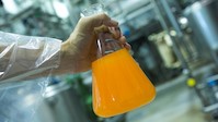 Obrana před nachlazením? Rybí tuk s omega-3